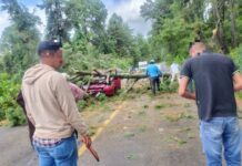 Árbol cae sobre automóvil en la carretera Uruapan-Pátzcuaro; conductor resulta lesionado