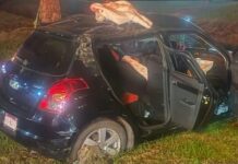 Trágico accidente en Morelia: joven muere tras chocar contra un árbol