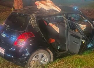 Trágico accidente en Morelia: joven muere tras chocar contra un árbol