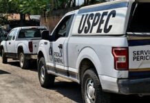 Ataque armado en acopio de aguacate en Salvador Escalante deja tres muertos; entre ellos un menor