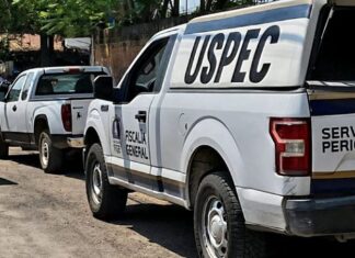Ataque armado en acopio de aguacate en Salvador Escalante deja tres muertos; entre ellos un menor